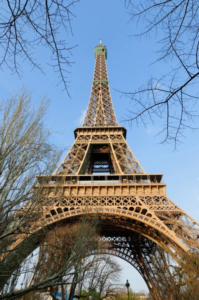 Eiffel tower surrounded by trees in spring evening, Paris, France — Stock Photo, Image