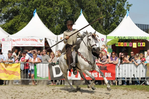 ブリュッセルで 2012 年 6 月 2 日に euroferia アンダルーサ — ストック写真