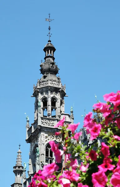 Μεσαιωνικός πύργος στο Γκραν Πλας στις Βρυξέλλες πίσω από τα λουλούδια — Φωτογραφία Αρχείου