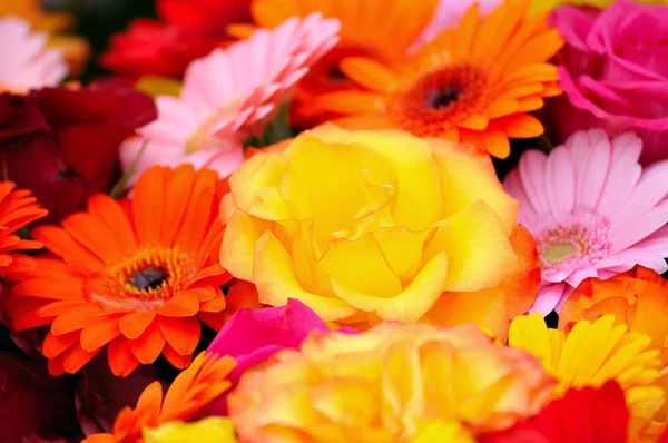 Natürlicher Hintergrund mit Frühlingsblumen mit seichtem Dof — Stockfoto