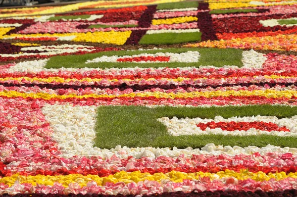 Alfombra de flores en la Grand Place de Bruselas — Foto de Stock