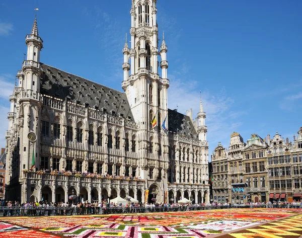 Thousands of tourists from the entire world come to see african theme Flower Carpet — Stock Photo, Image