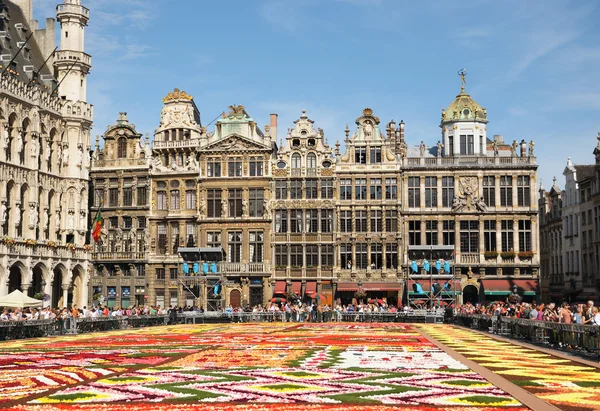 Turisté z celého světa obdivují africké téma květinový koberec na grand place — Stock fotografie