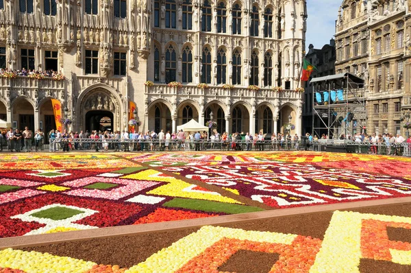 Turistas de todo el mundo llegan para ver el tema africano Flower Carpet en Grand Place —  Fotos de Stock