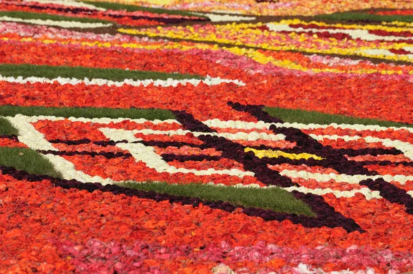 Çiçek halı Brüksel grand place üzerinde kırmızı bir parçası — Stok fotoğraf