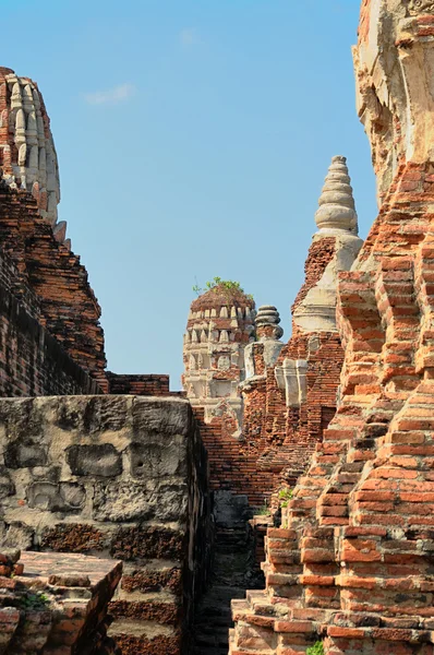 Ayutthaya के खंडहरों — स्टॉक फ़ोटो, इमेज