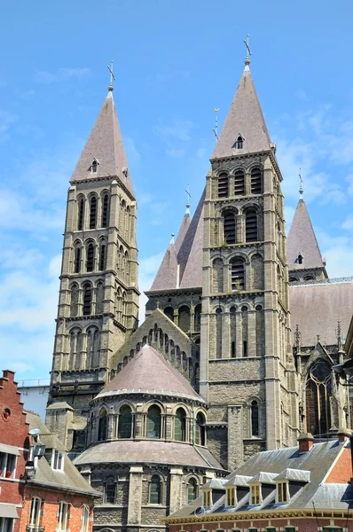 Středověké katedrála v tournai, Belgie, obklopené domy — Stock fotografie