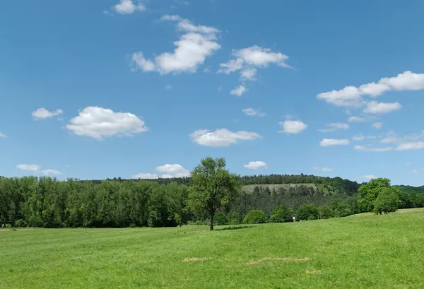 Paisaje de Waloon — Foto de Stock