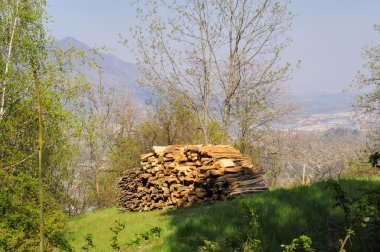 avigliana, piedmont, İtalya yakınındaki ormanda odun yığını