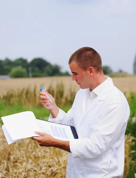 Scientist in the field collects samples for experiments — Stock Photo, Image