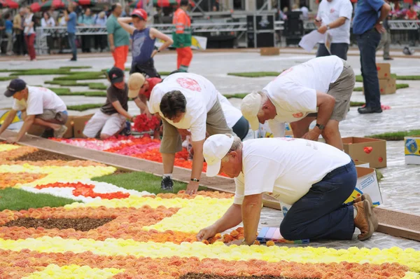 BRUSSELS, BELGIUM-AUGUST 14: Unidentified volunteers build African theme Flower Carpet on August 14, 2012 in Brussels. This biennial event attracts thousands of tour — Stock Photo, Image