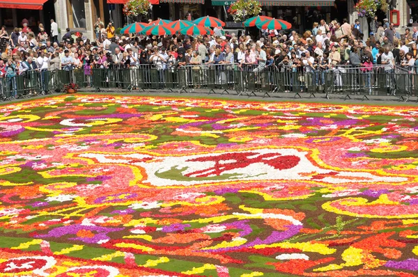 BRUSSELS - AUGUST 16: Flower carpet - 2008 in Brussels Grand-Place, Belgium. This year the carpet was made from begonia flowers — Stock Photo, Image