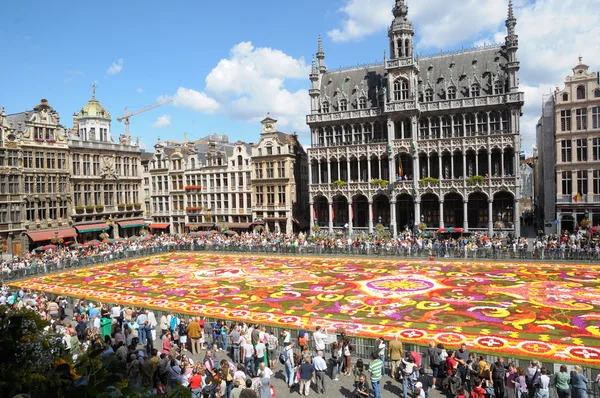 BRUSSELS, BELGIUM-AUGUST 15: The Flower Carpet 2012 with African theme attracted thousands of tourists on August 15, 2012 in Brussels. This biennial public event has different theme every time. — Stock Photo, Image