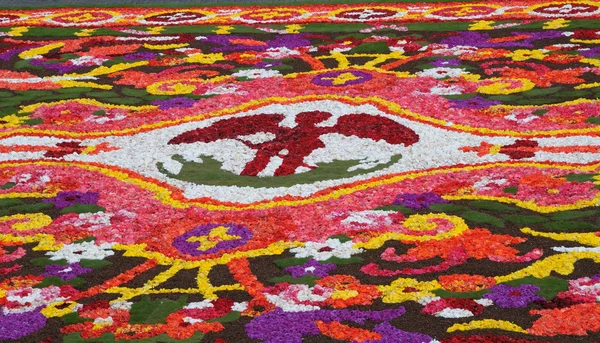 Halı-2008 Brüksel'deki çiçek - grand-place