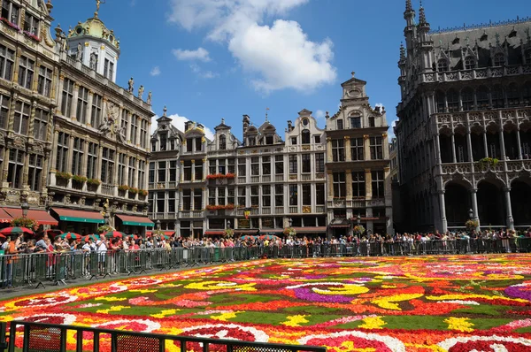 Brussels, Belçika-Ağustos 15: Afrika temalı çiçek halı 2012 çeken binlerce turist üzerinde 15 Ağustos, Brüksel'deki 2012. Bu Bienal genel olay farklı tema her zaman vardır.. — Stok fotoğraf