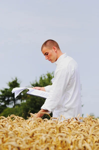 Agronom kontrollera resultatet av hans experiment — Stockfoto