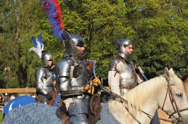 16th Edition of Medieval Celebration in Abbey de Forest — Stock Photo, Image