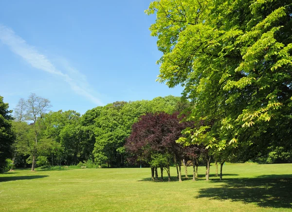 Parc w Brukseli — Zdjęcie stockowe