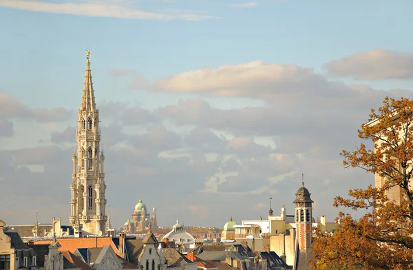View of historical center of Brussels from Mont des Arts at sunset — Stock Photo, Image