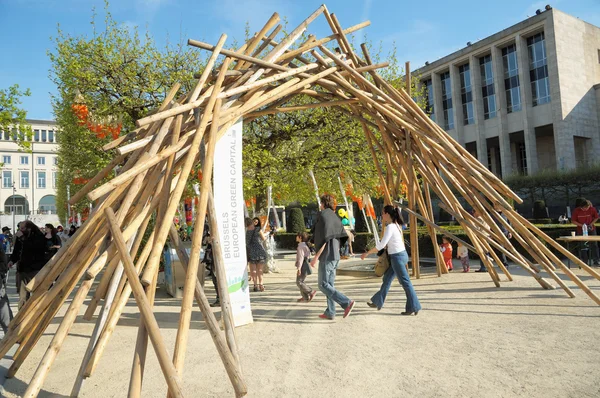 Giornata annuale dell'Iris - Fete de l'Iris — Foto Stock