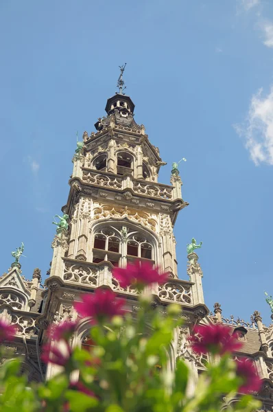 Torre del edificio histórico Maison du Roi —  Fotos de Stock