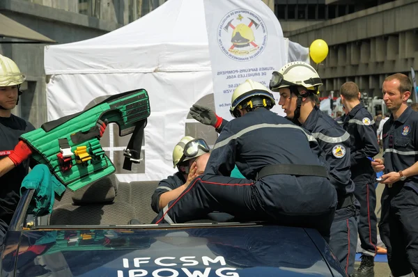 Giornata annuale dell'Iris - Fete de l'Iris — Foto Stock