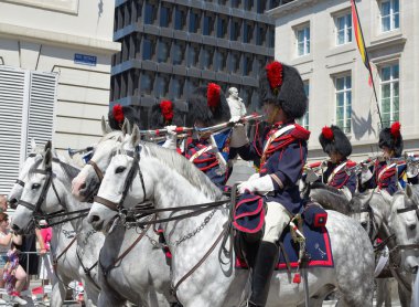 Belçikalı Süvari taşır