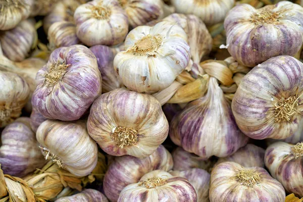 Red garlic — Stock Photo, Image