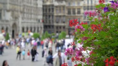 turistleri Brüksel grand place üzerinde yürümek.