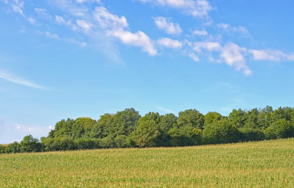 Paesaggio tipico della regione dell'Alvernia nel Massiccio Centrale della Francia — Foto Stock