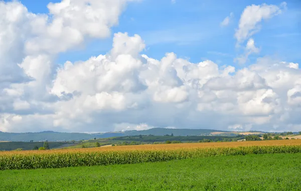 Rural landscape of Auvergne region in Massif Central of France — Stock Photo, Image