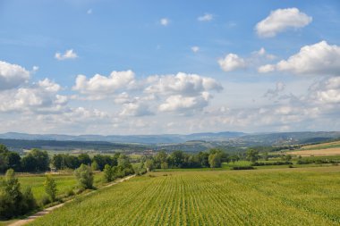 Fransa'da massif central auvergne bölgesinde tarım peyzaj