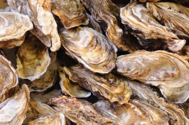 istiridye içinde tepsi