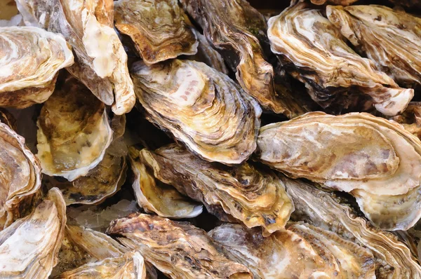 istiridye içinde tepsi