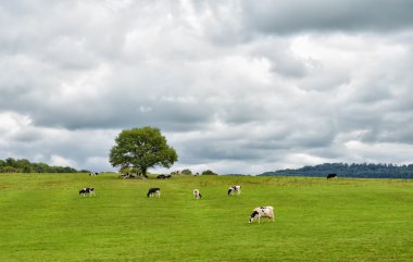 Rural landscape clipart