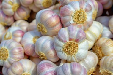 pembe sarımsak
