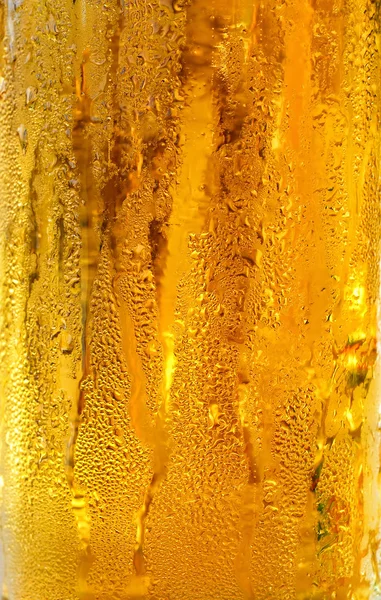Cold beer in glass with condensation drops — Stock Photo, Image