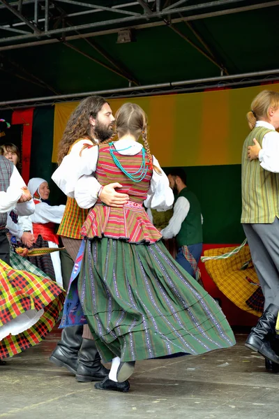 Λιθουανικά-λαϊκή μουσική ομάδα — Φωτογραφία Αρχείου
