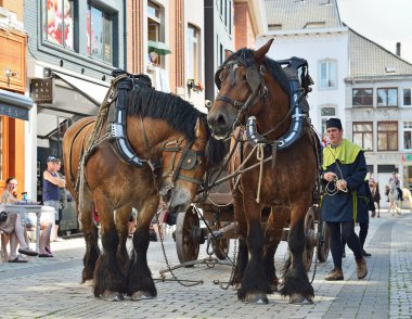 mariaprocessie halle sokaklarında devam ediyor.
