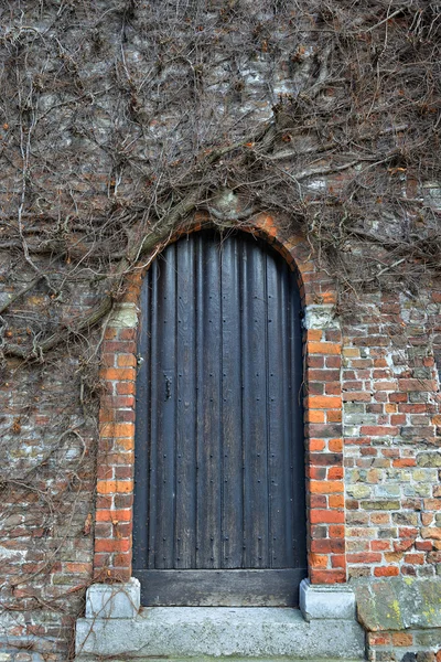 Středověké dřevěné dveře kostela — Stock fotografie