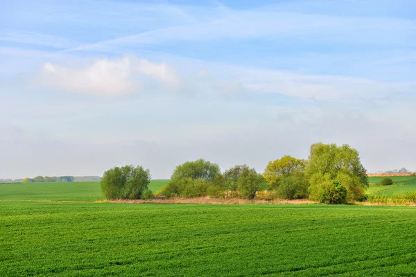 Landschaft in der Wallonie — Stockfoto