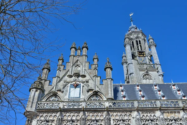 Details of architecture of medieval city hall in Middelburg — Stock Photo, Image