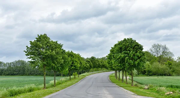 Road landschap in het Waals, provincie Luik in België — Stockfoto