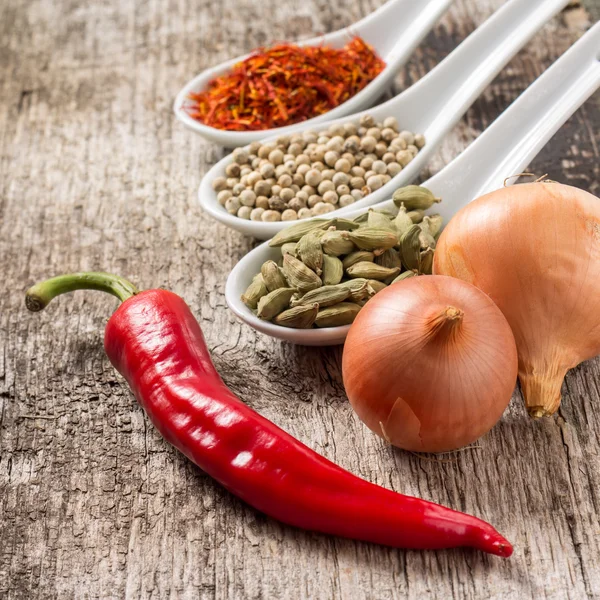 Cerrar foto de especias con chile y cebolla — Foto de Stock