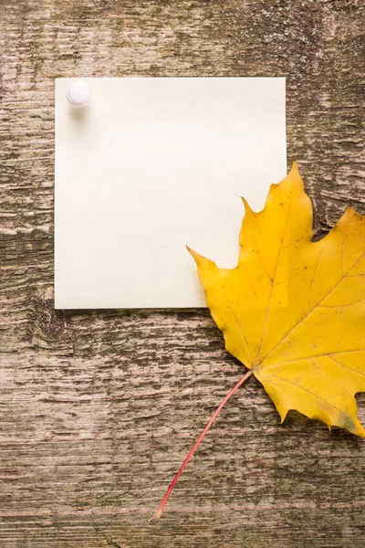 Blank paper sticker with autumn leaves on old wood background — Stock Photo, Image