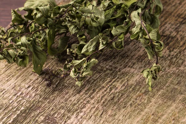 Hierba seca de menta sobre tabla de madera vieja — Foto de Stock