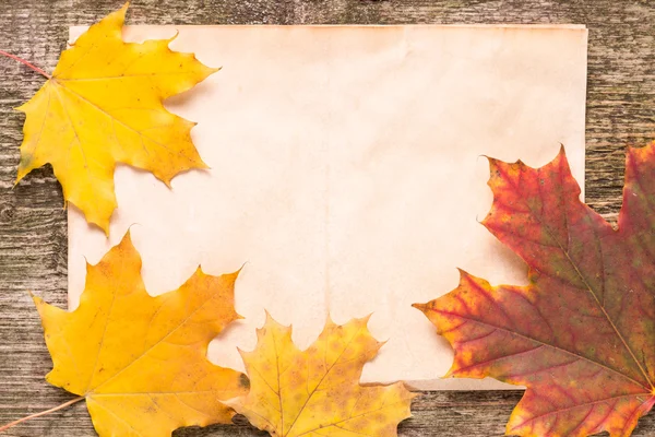 Old paper sheet with fallen leaves on wood background — Stock Photo, Image