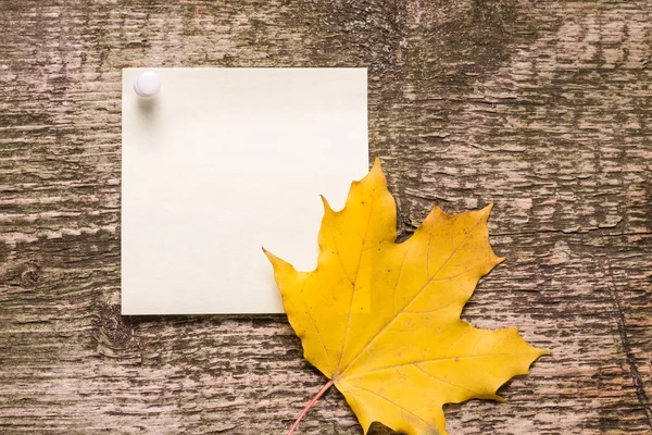 Pegatina de papel en blanco con hojas de otoño sobre fondo de madera vieja — Foto de Stock