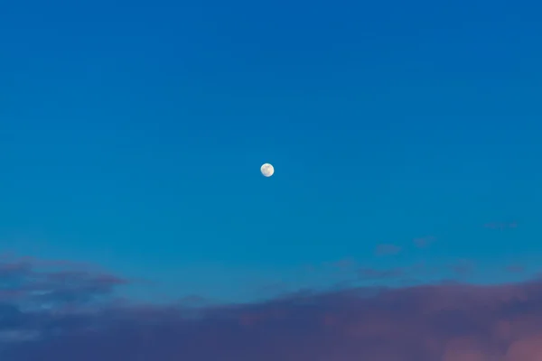 青い夜の空に月 — ストック写真