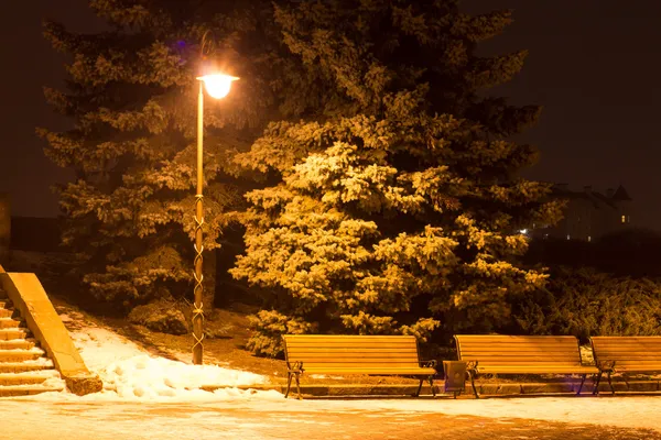 Winter city landscape. Evening Park with Lantern — Stock Photo, Image